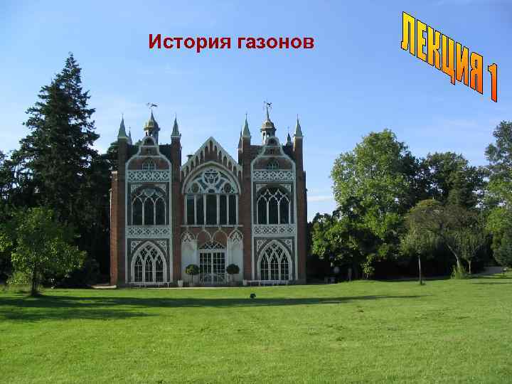 История газонов 