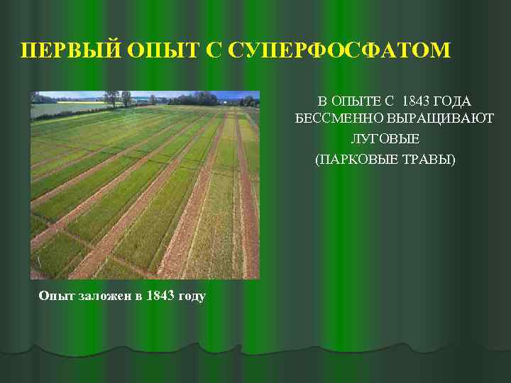 ПЕРВЫЙ ОПЫТ С СУПЕРФОСФАТОМ В ОПЫТЕ С 1843 ГОДА БЕССМЕННО ВЫРАЩИВАЮТ ЛУГОВЫЕ (ПАРКОВЫЕ ТРАВЫ)