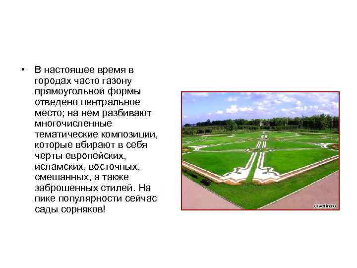  • В настоящее время в городах часто газону прямоугольной формы отведено центральное место;