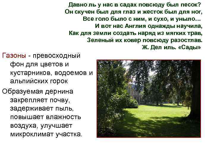 Давно ль у нас в садах повсюду был песок? Он скучен был для глаз
