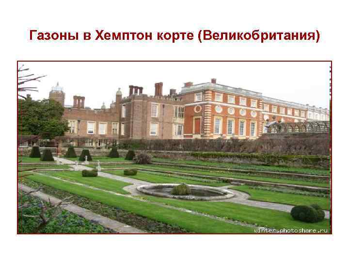 Газоны в Хемптон корте (Великобритания) 