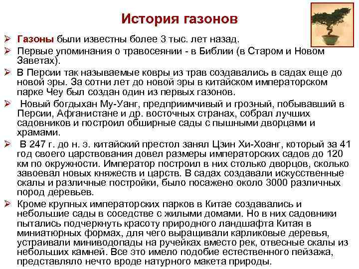 История газонов Ø Газоны были известны более 3 тыс. лет назад. Ø Первые упоминания