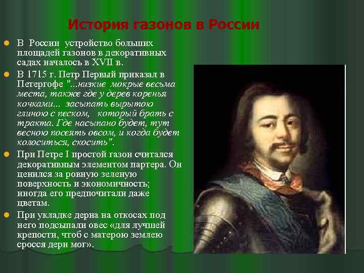 История газонов в России В России устройство больших площадей газонов в декоративных садах началось