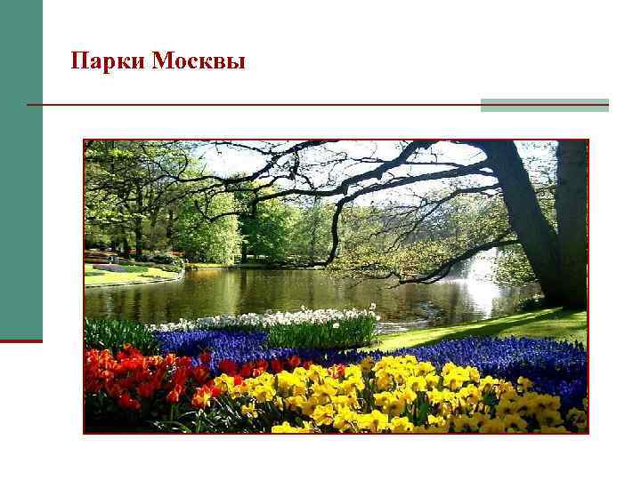 Парки Москвы 