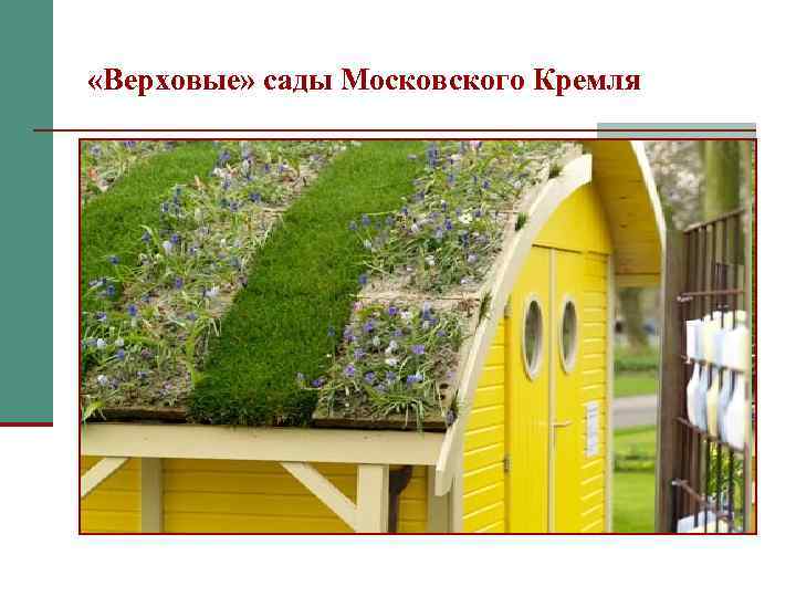  «Верховые» сады Московского Кремля 