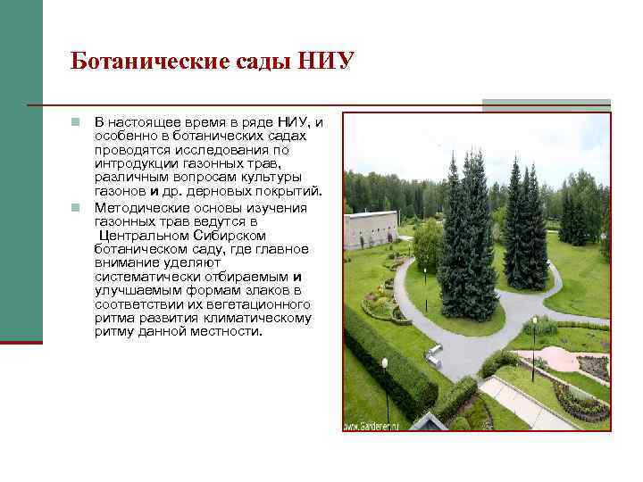 Ботанические сады НИУ В настоящее время в ряде НИУ, и особенно в ботанических садах
