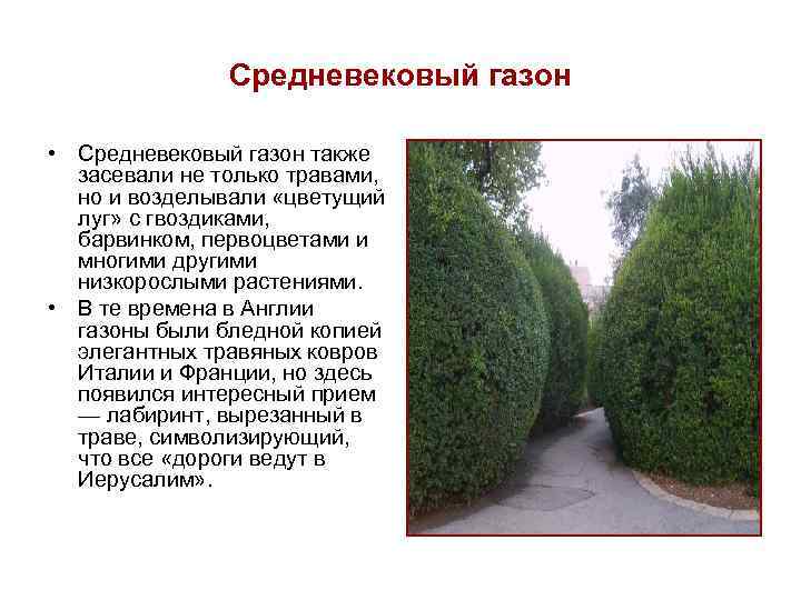 Средневековый газон • Средневековый газон также засевали не только травами, но и возделывали «цветущий
