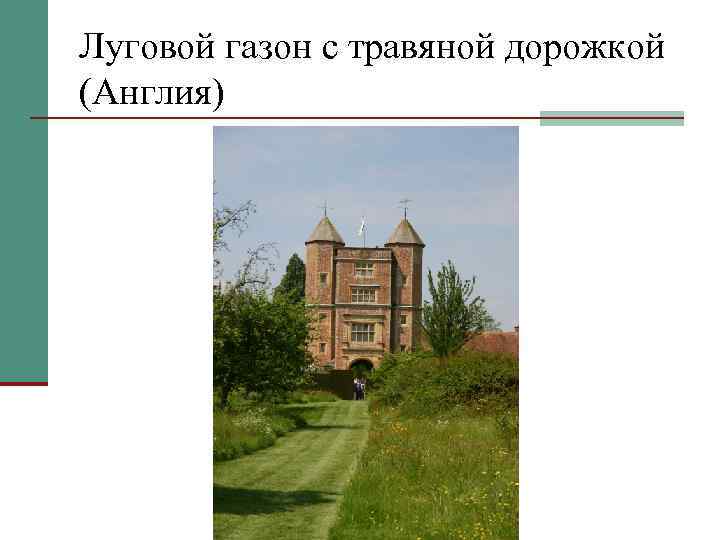 Луговой газон с травяной дорожкой (Англия) 