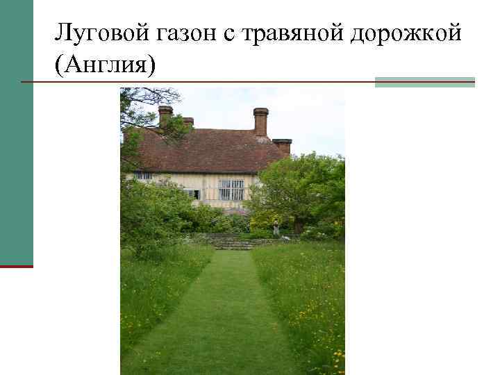 Луговой газон с травяной дорожкой (Англия) 