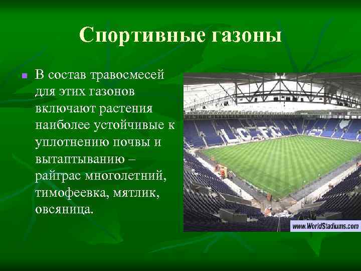 Спортивные газоны n В состав травосмесей для этих газонов включают растения наиболее устойчивые к