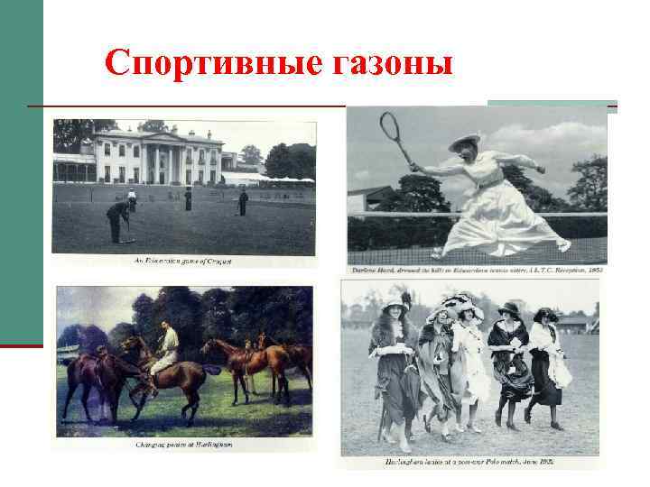 Спортивные газоны 