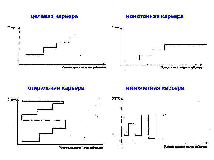 Профиль карьеры