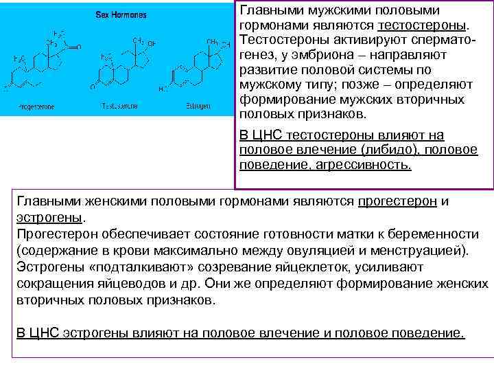 Главными мужскими половыми гормонами являются тестостероны. Тестостероны активируют сперматогенез, у эмбриона – направляют развитие