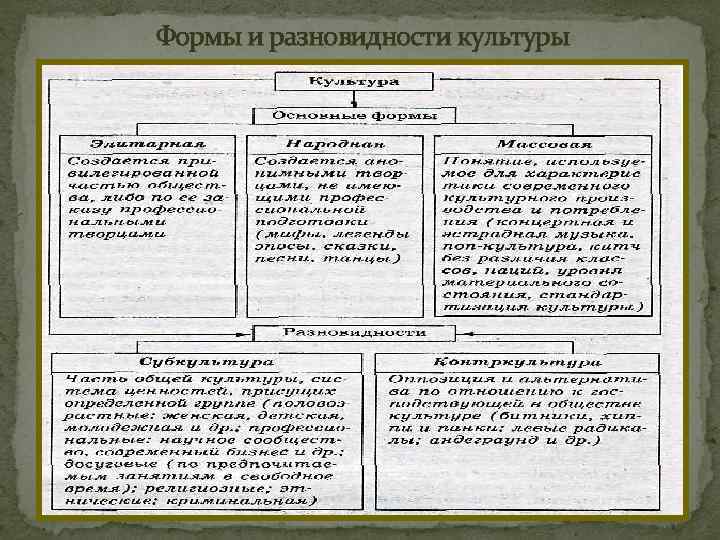 Виды и функции культуры план