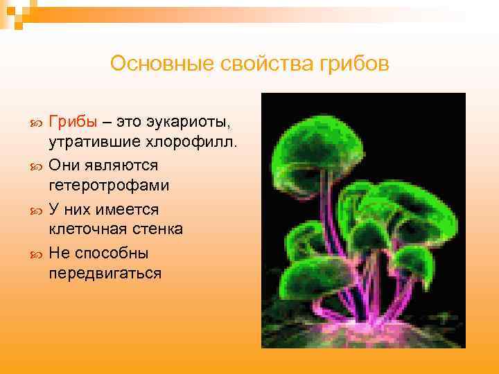 Грибы эукариоты. Свойства грибов. Основные свойства грибов. Грибы являются гетеротрофами.