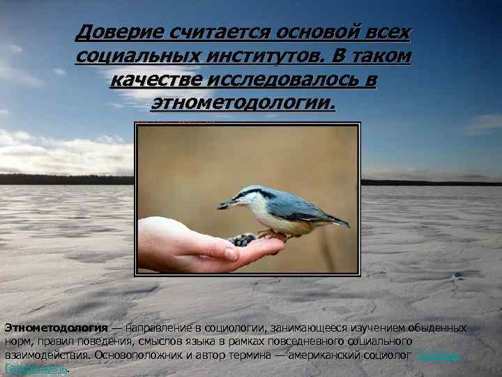 Доверие считается основой всех социальных институтов. В таком качестве исследовалось в этнометодологии. Этнометодология —