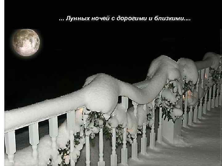 ……. . . . Лунных ночей с дорогими и близкими. . 