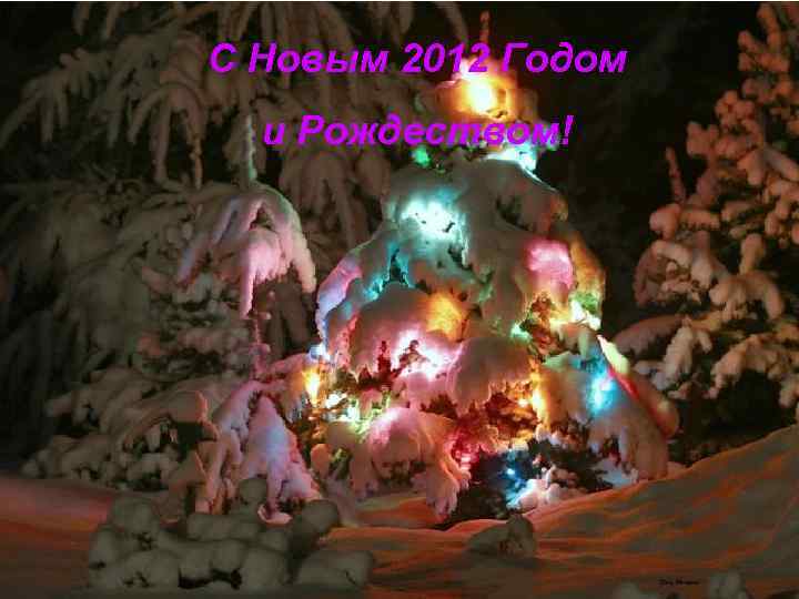 С Новым 2012 Годом и Рождеством! 