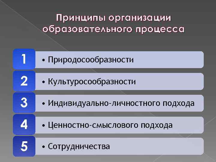 Принципы организации образовательного процесса 1 • Природосообразности 2 • Культуросообразности 3 • Индивидуально-личностного подхода