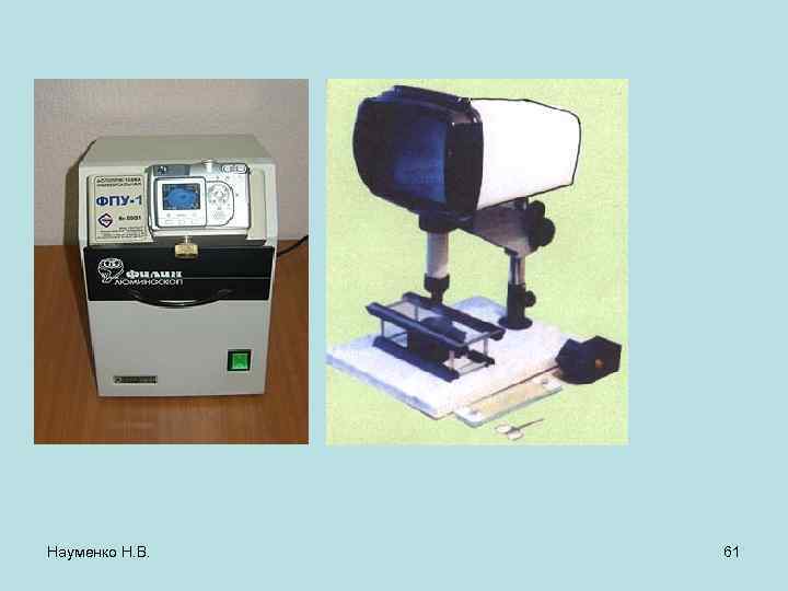 Науменко Н. В. 61 