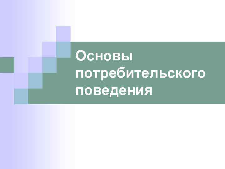 Основы потребительского поведения 