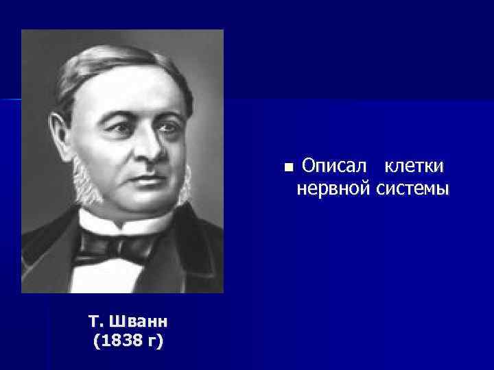 Т. Шванн (1838 г) Описал клетки нервной системы 