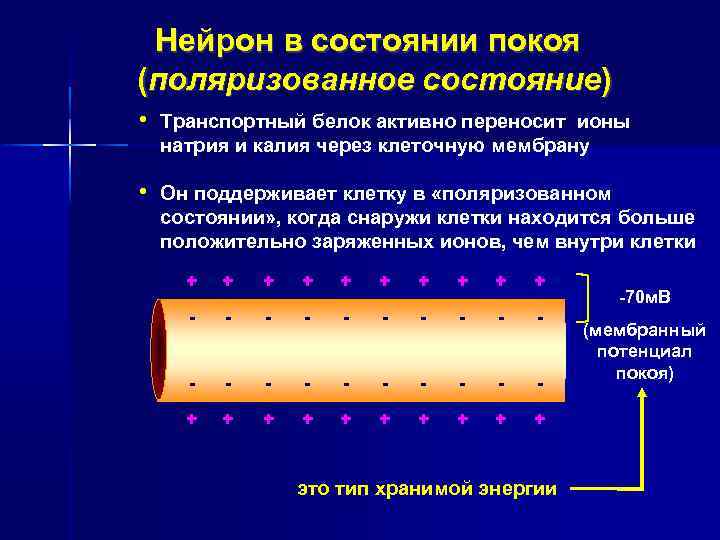 Нарушения сна неврология презентация