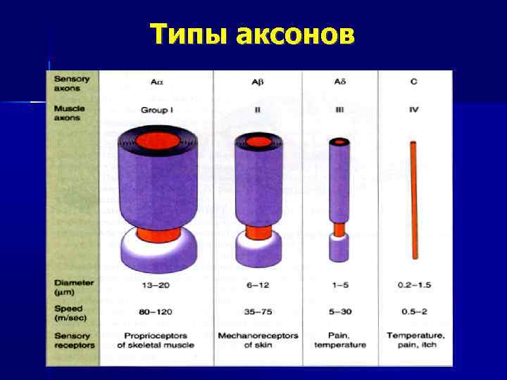 Обои аксон кострома