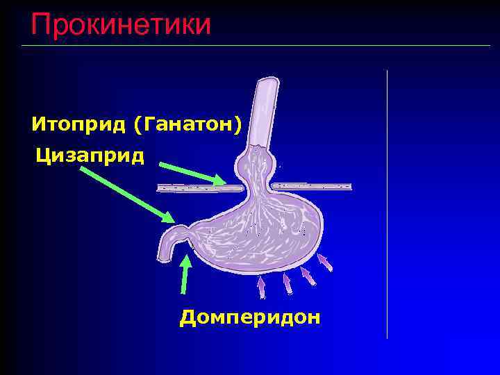 Прокинетики Итоприд (Ганатон) Цизаприд Домперидон 