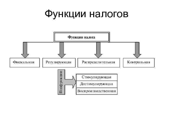 Виды и функции налогов