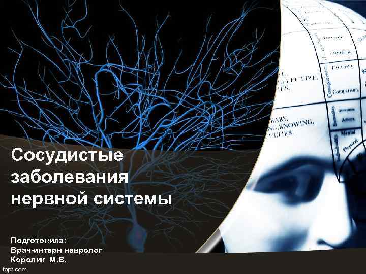 Сосудистые заболевания нервной системы Подготовила: Врач-интерн невролог Королик М. В. 