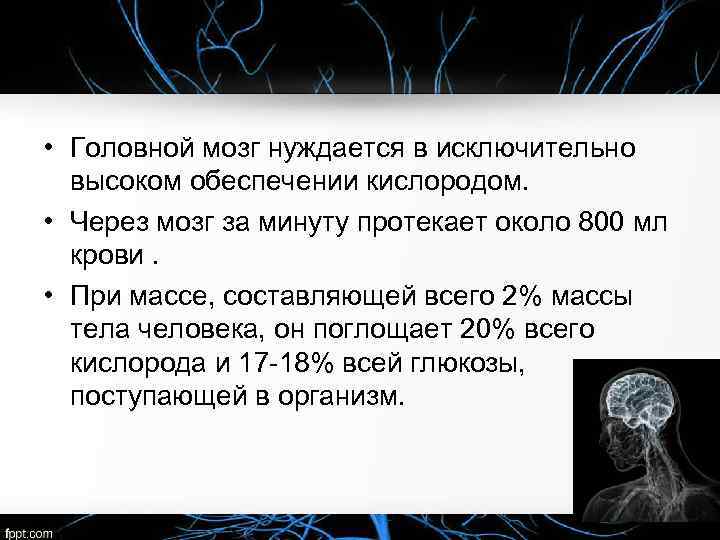  • Головной мозг нуждается в исключительно высоком обеспечении кислородом. • Через мозг за