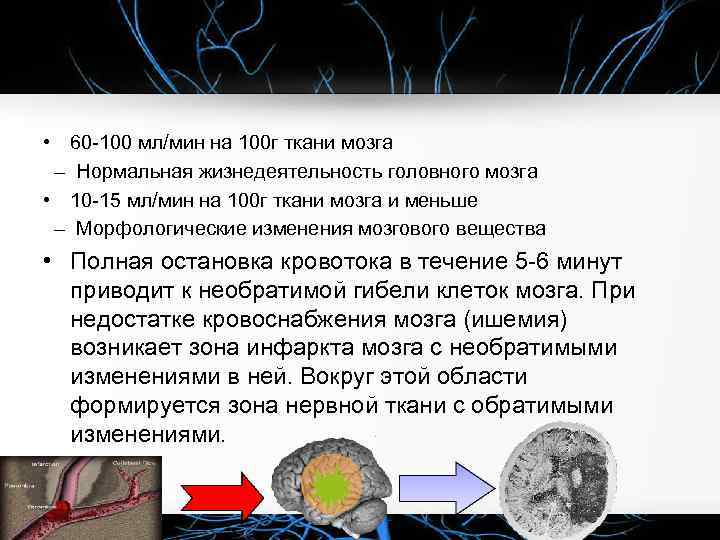  • 60 100 мл/мин на 100 г ткани мозга – Нормальная жизнедеятельность головного