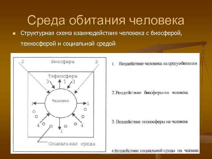 Эволюция среды обитания переход к техносфере проект