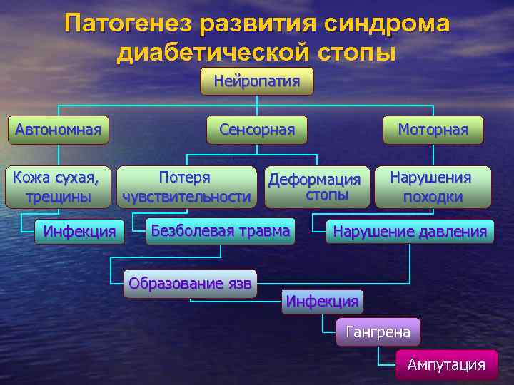 Патогенез развития синдрома диабетической стопы Нейропатия Автономная Кожа сухая, трещины Инфекция Сенсорная Потеря чувствительности