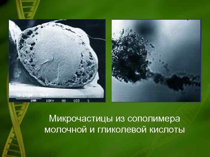 Микрочастицы из сополимера молочной и гликолевой кислоты 