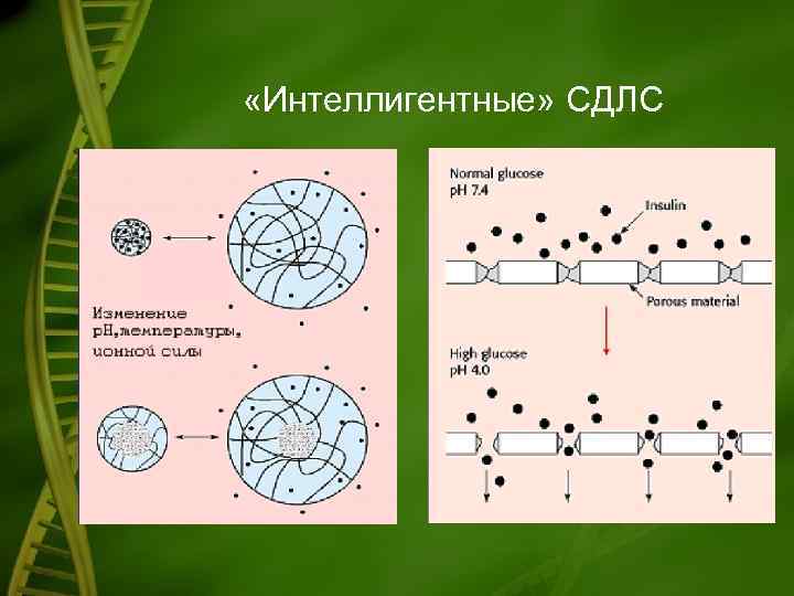  «Интеллигентные» СДЛС 