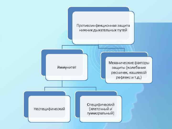 Противоинфекционная защита нижних дыхательных путей Иммунитет Неспецифический Механические факторы защиты (колебания ресничек, кашлевой рефлекс