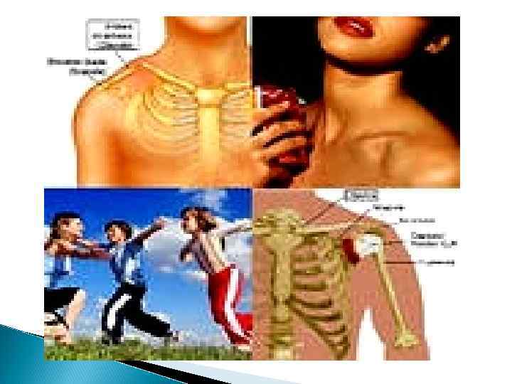 Переломы ключицы Клиника: q Боль; q Припухлость; q Ограничение функции руки; q Деформация ключицы