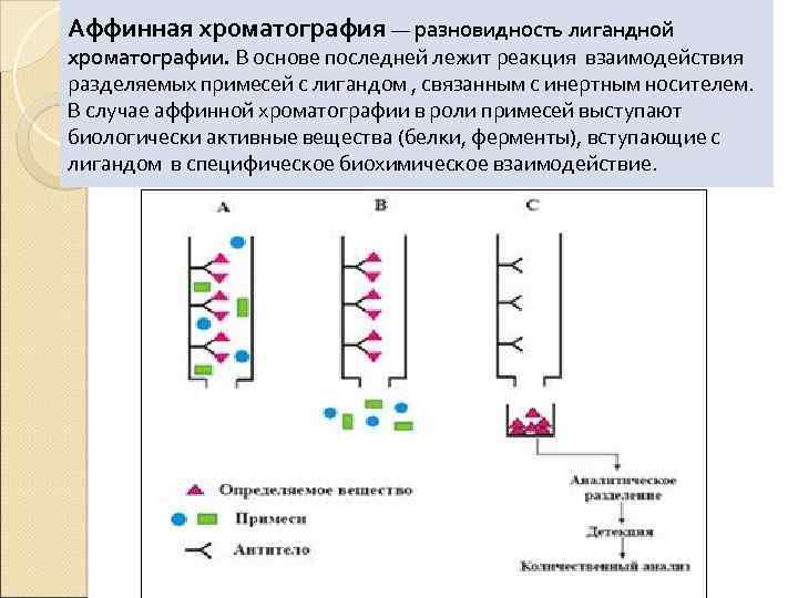 Последним основа. Аффинная хроматография схема. Аффинная хроматография принцип метода. Хроматограф для аффинной хроматографии. Аффинная хроматография иммуноглобулина g.