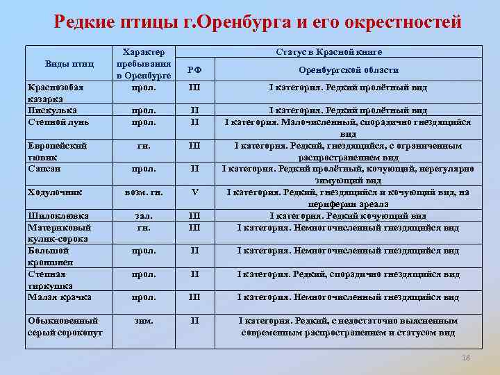 Редкие птицы г. Оренбурга и его окрестностей Виды птиц Краснозобая казарка Пискулька Степной лунь