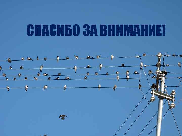 СПАСИБО ЗА ВНИМАНИЕ! 33 