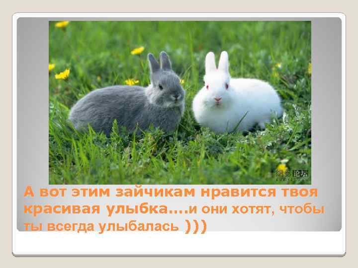 А вот этим зайчикам нравится твоя красивая улыбка…. и они хотят, чтобы ты всегда