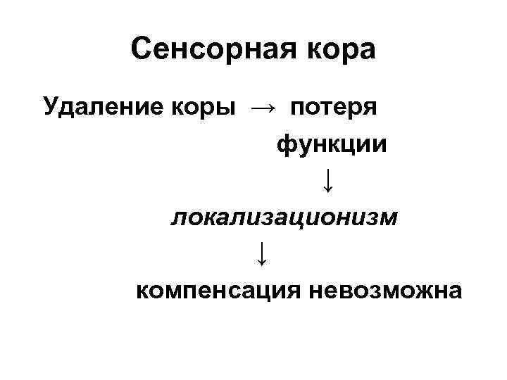 Сенсорная кора Удаление коры → потеря функции ↓ локализационизм ↓ компенсация невозможна 