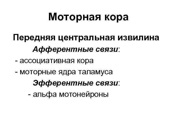Моторная кора Передняя центральная извилина Афферентные связи: - ассоциативная кора - моторные ядра таламуса