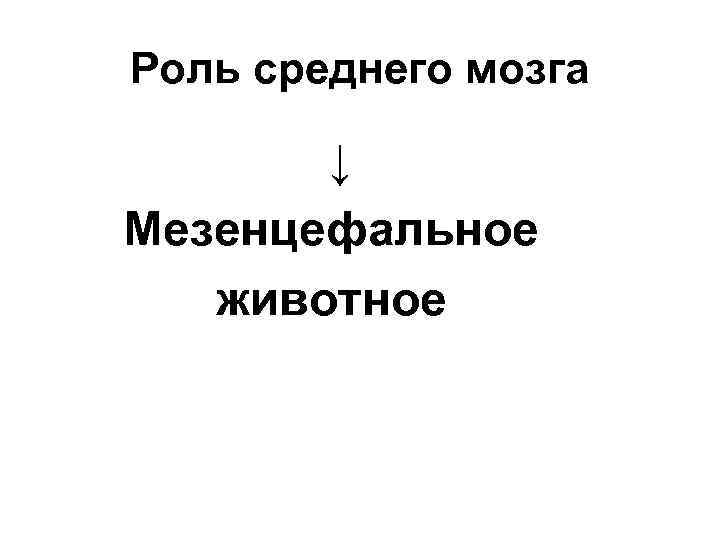 Роль среднего мозга ↓ Мезенцефальное животное 