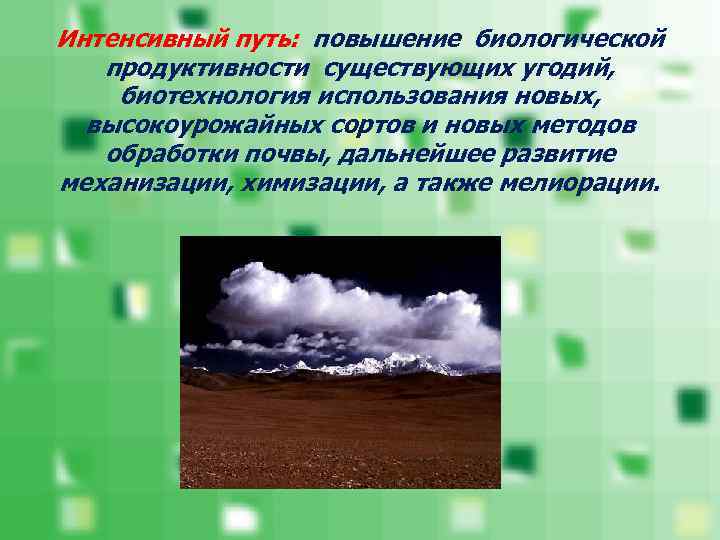 Интенсивный путь: повышение биологической  продуктивности существующих угодий, биотехнология использования новых,  высокоурожайных сортов