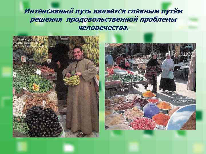Интенсивный путь является главным путём решения продовольственной проблемы   человечества. 