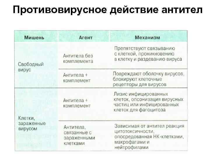 Противовирусное действие антител 