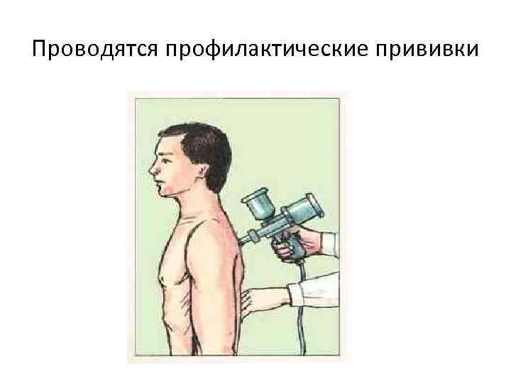 Проводятся профилактические прививки 